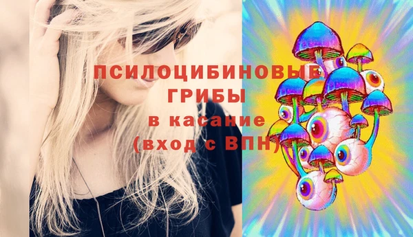 тгк Абинск