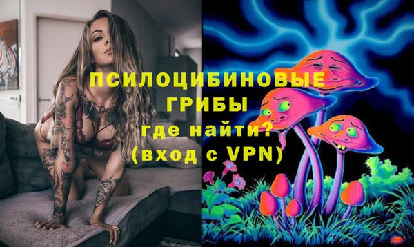 твердый Алексин