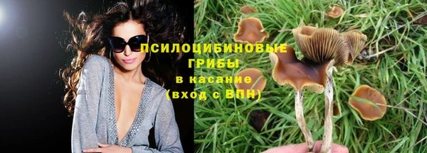 соль курить ск Медногорск