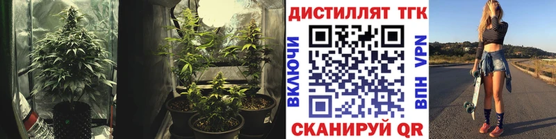 Дистиллят ТГК THC oil наркотики Циолковский